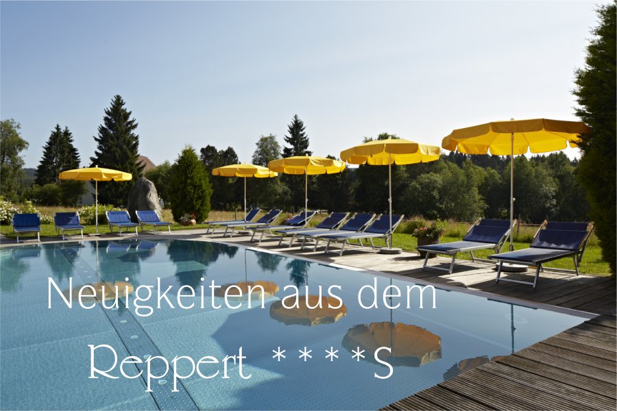 Immer mit dabei