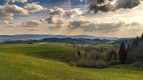 Grüne Hügel mit gelben Blumen und bewölkter Himmel über Bergen