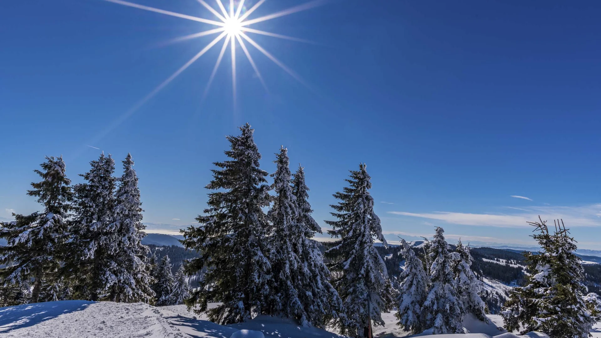 Verschneite Tannen vor blauem Himmel mit strahlender Sonne und winterlicher Berglandschaft