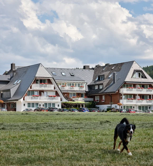 Großes Hotelgebäude mit grauen Dächern in grüner Landschaft
