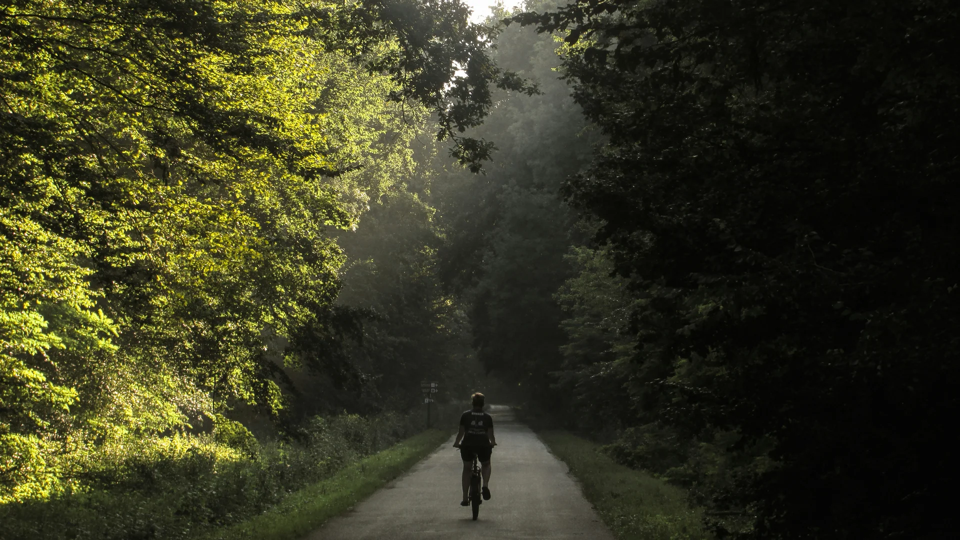 (E-)Bike-Hotel im Schwarzwald | Das Reppert in Hinterzarten Ein Radfahrer fährt auf einem Waldweg zwischen grünen Bäumen