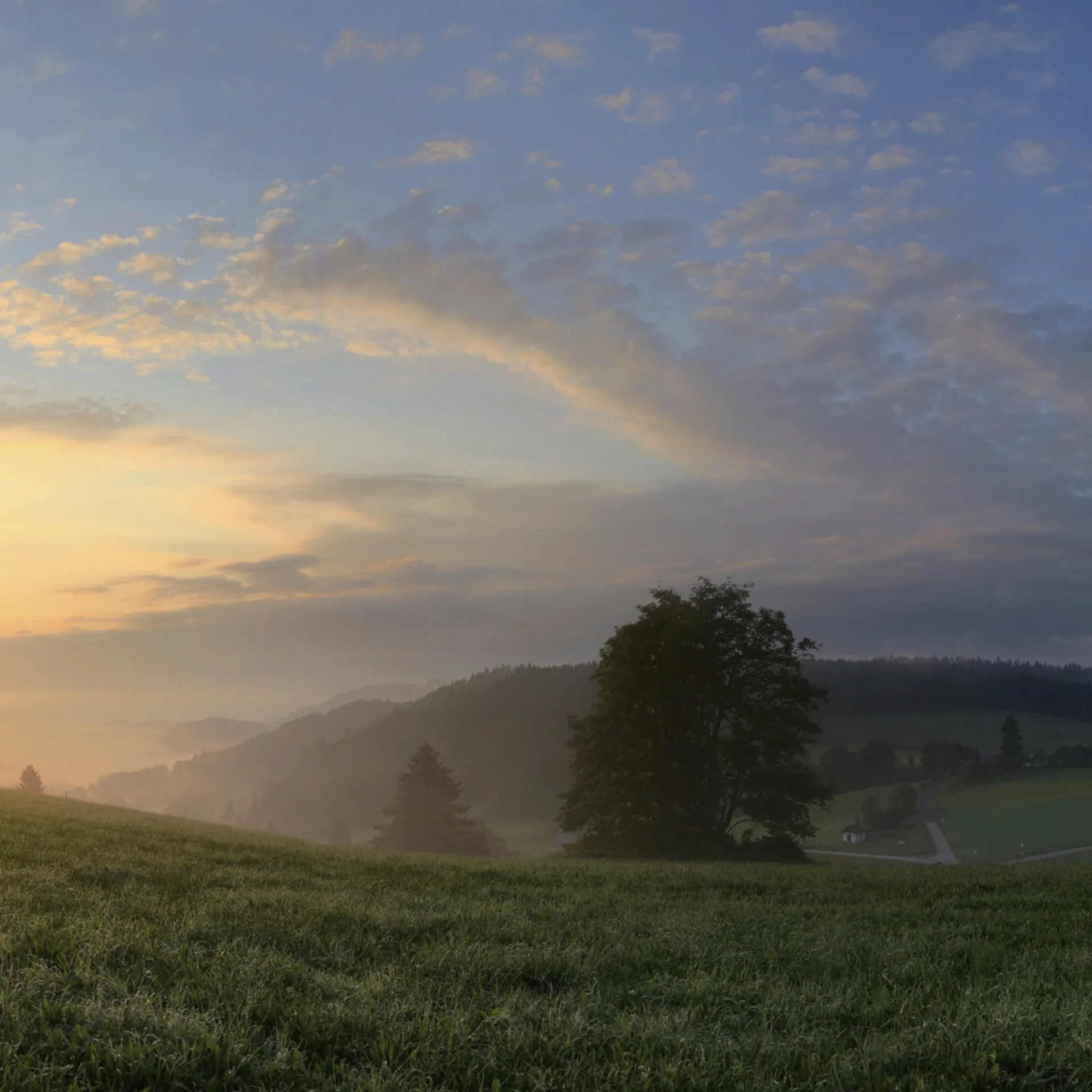 Sonnenaufgang über nebligen Bergen mit Wald und Wiese im Vordergrund