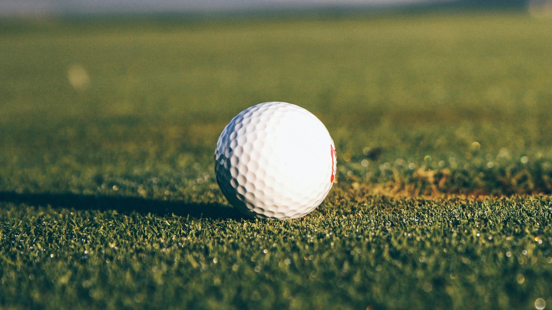 Nahaufnahme eines Golfballs auf dem Rasen mit verschwommenem Hintergrund