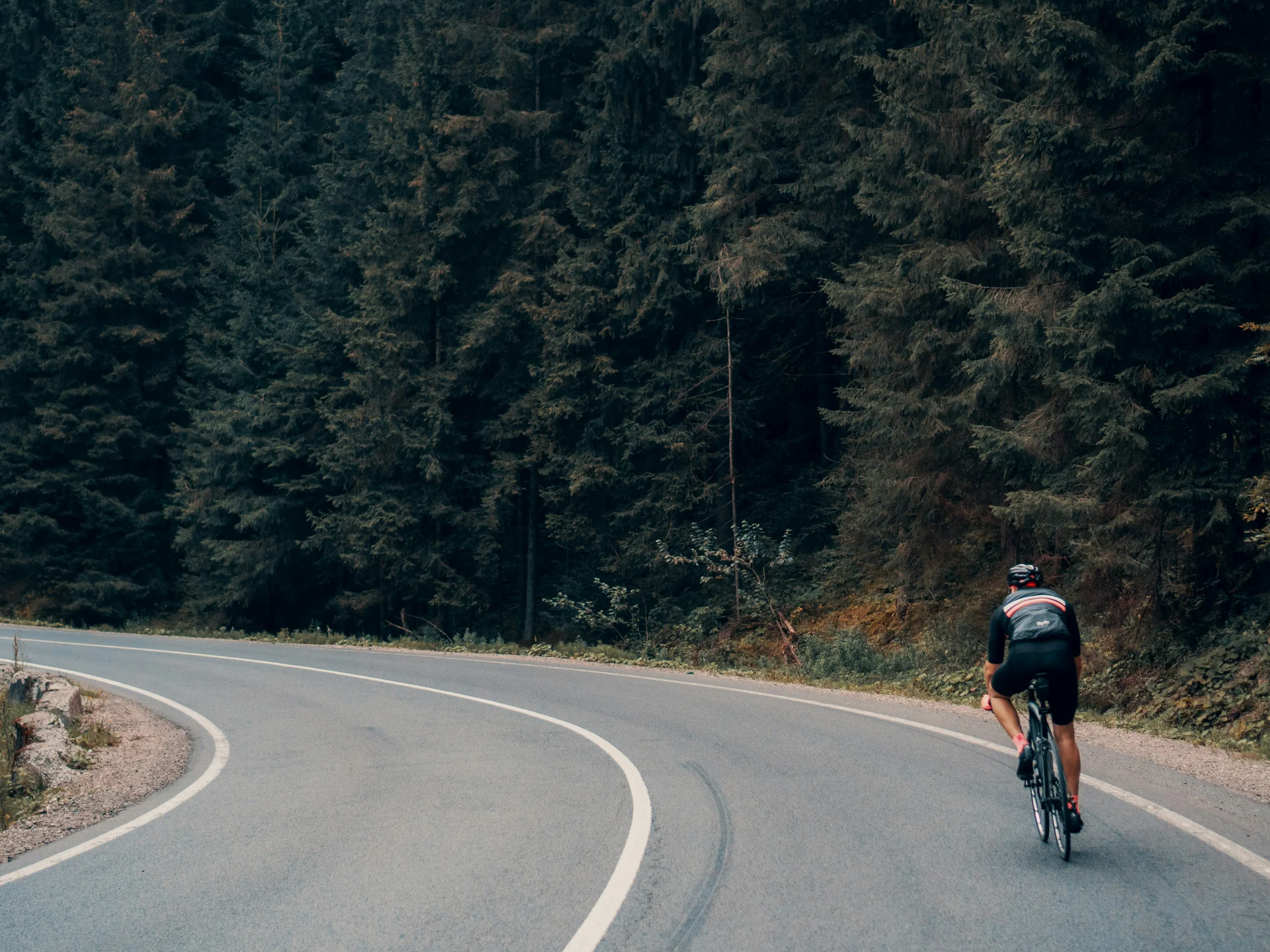 (E-)Bike-Hotel im Schwarzwald | Das Reppert in Hinterzarten Radfahrer fährt auf kurviger Straße neben dichtem Wald