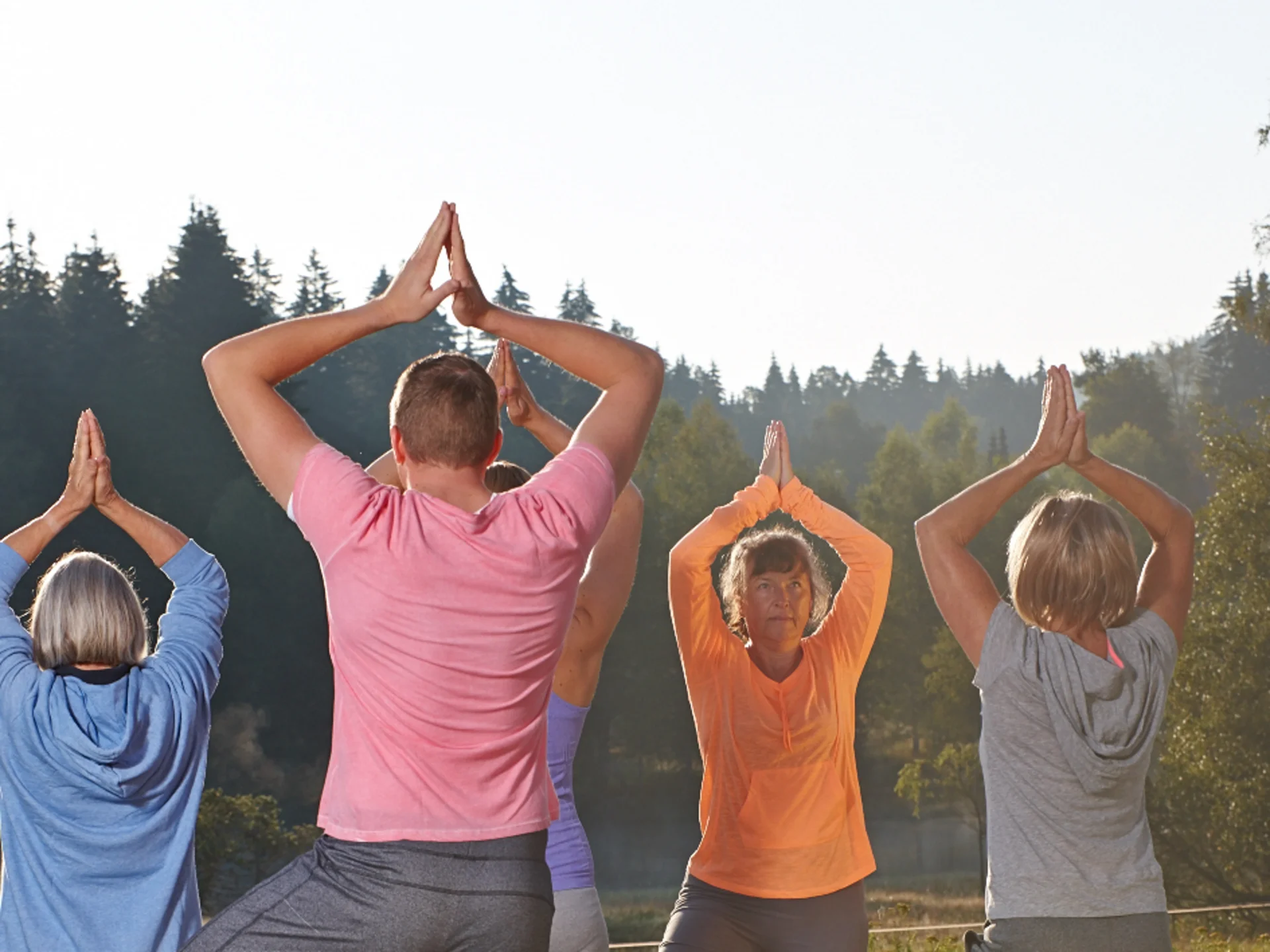 Gruppe praktiziert Yoga im Freien auf Holzdeck mit Wald im Hintergrund