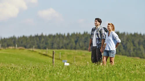 Paar genießt Spaziergang in grüner Landschaft bei sonnigem Wetter