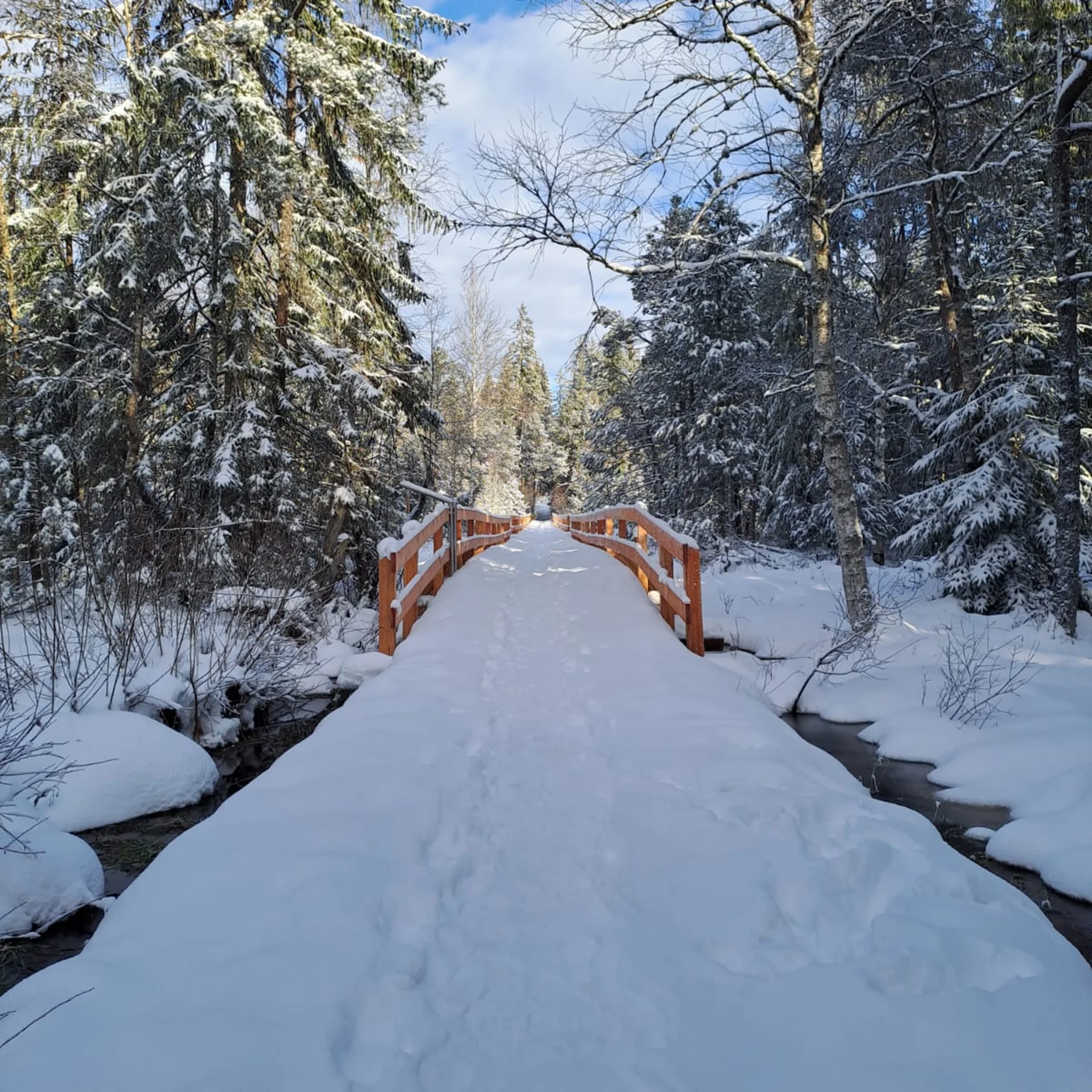 Verschneite Holzbrücke über einen Bach in einem winterlichen Wald