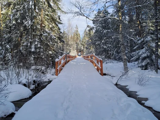 Verschneite Holzbrücke über einen Bach in einem winterlichen Wald