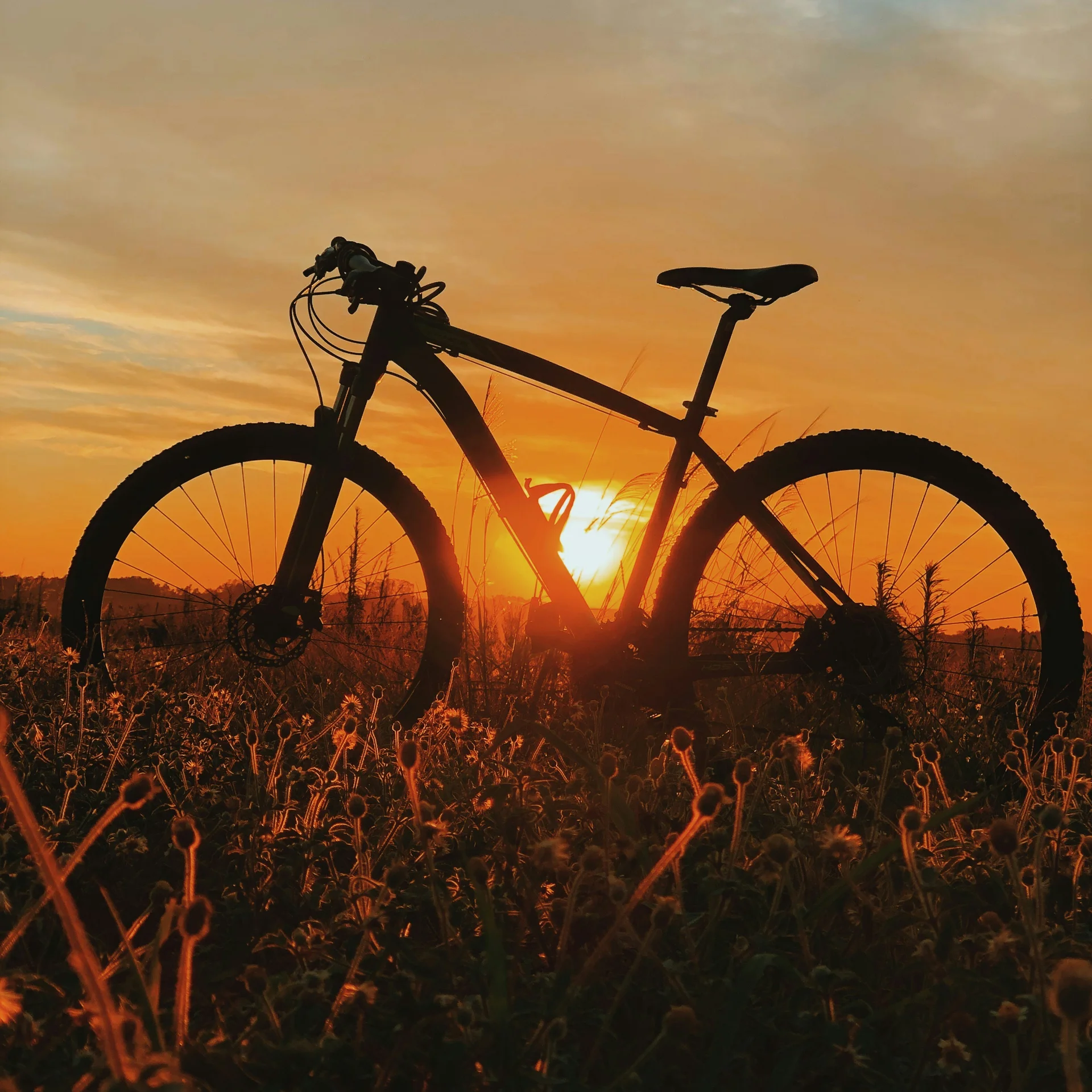 (E-)Bike-Hotel im Schwarzwald | Das Reppert in Hinterzarten Fahrrad-Silhouette bei Sonnenuntergang über einem Feld
