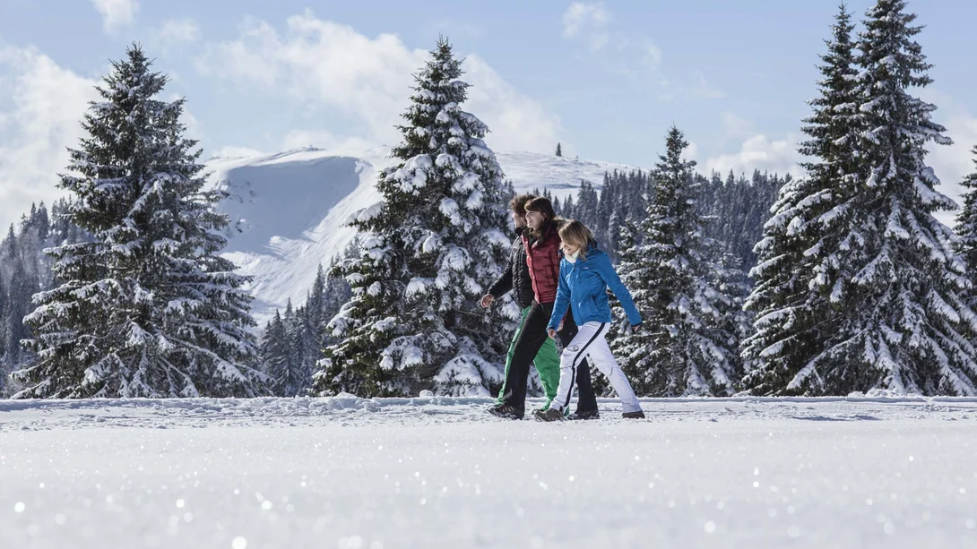 Two people walk through a snowy landscape with fir trees and mountains