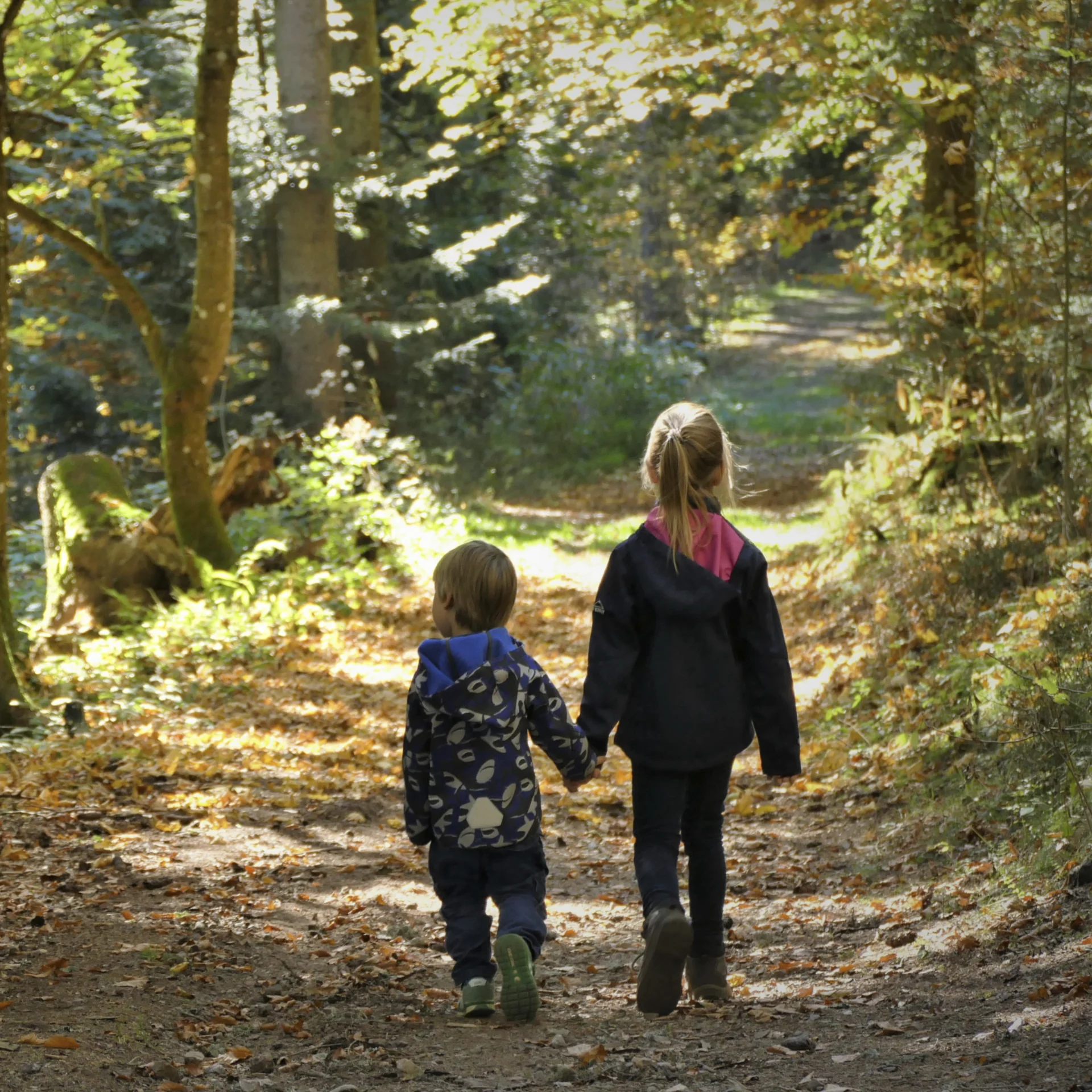 Zwei Kinder gehen Hand in Hand auf einem Waldweg im Herbst spazieren