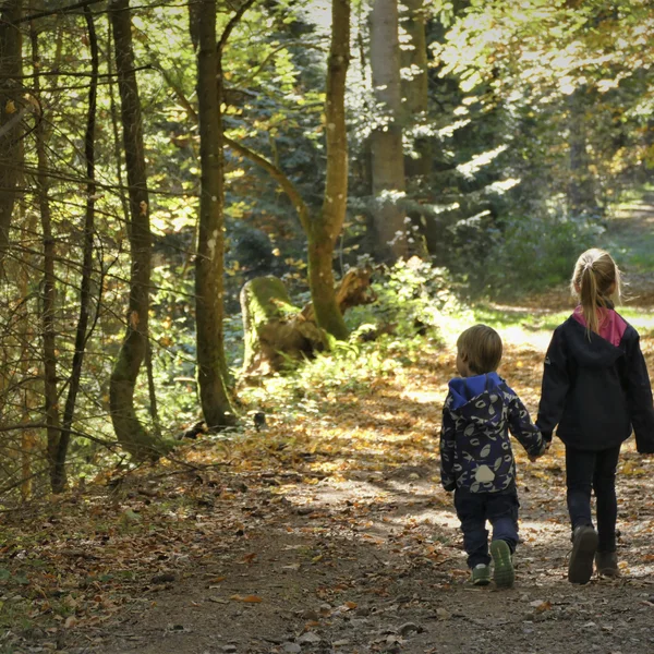 Zwei Kinder gehen Hand in Hand auf einem Waldweg im Herbst spazieren