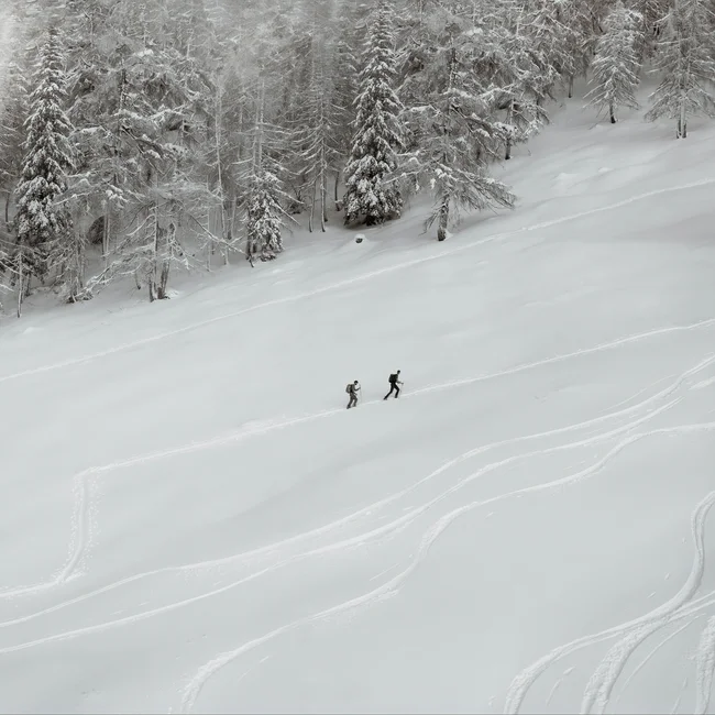 Vacances d’hiver à Hinterzarten | L’art de vivre au ralenti à l’hôtel Reppert Deux skieurs montent un versant enneigé avec des arbres