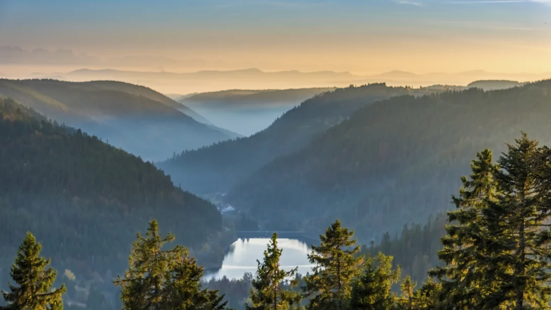 Montagnes brumeuses avec des sapins et un lac dans la vallée au lever du soleil