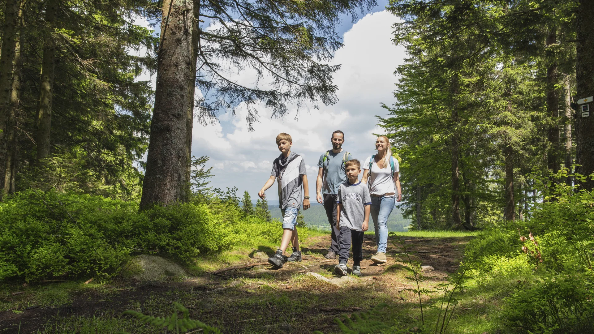 Familie mit zwei Kindern wandert auf einem Waldweg bei sonnigem Wetter