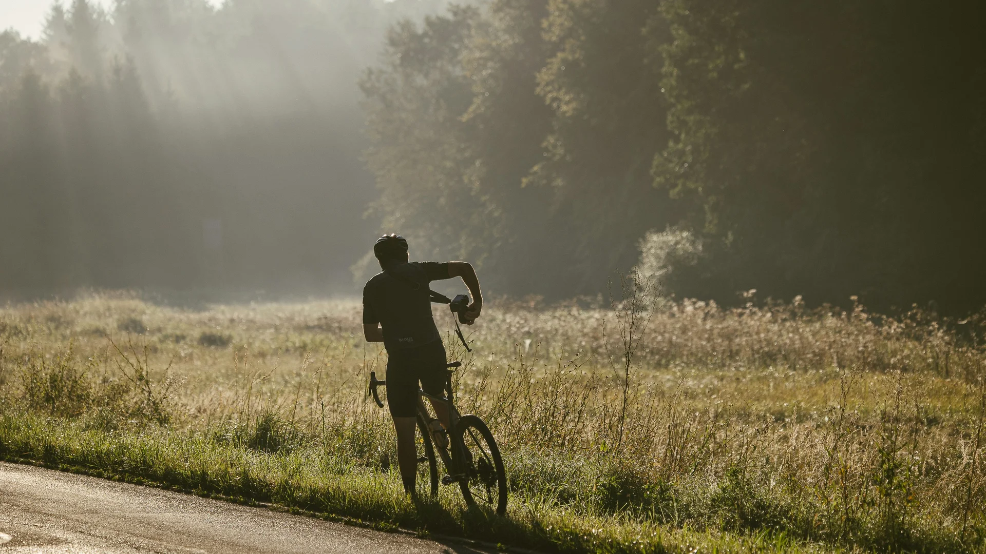 (E-)Bike-Hotel im Schwarzwald | Das Reppert in Hinterzarten Radfahrer auf Landstraße im morgendlichen Nebel am Waldrand