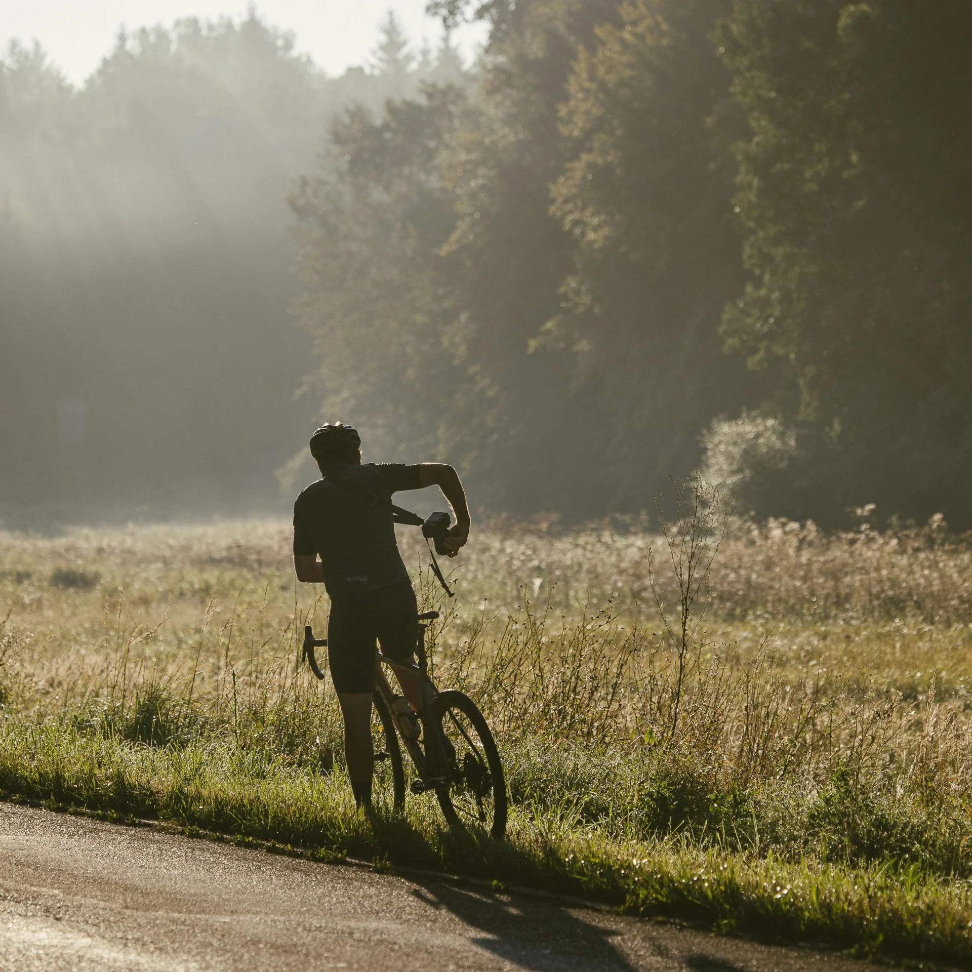 Radfahrer auf Landstraße im morgendlichen Nebel am Waldrand