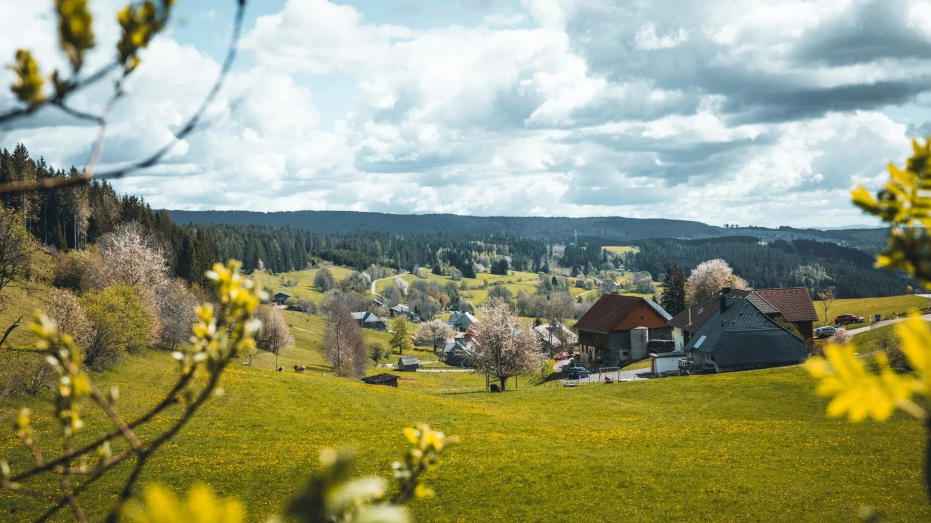 Frühlingslandschaft mit blühenden Bäumen, grünen Wiesen und Häusern unter bewölktem Himmel