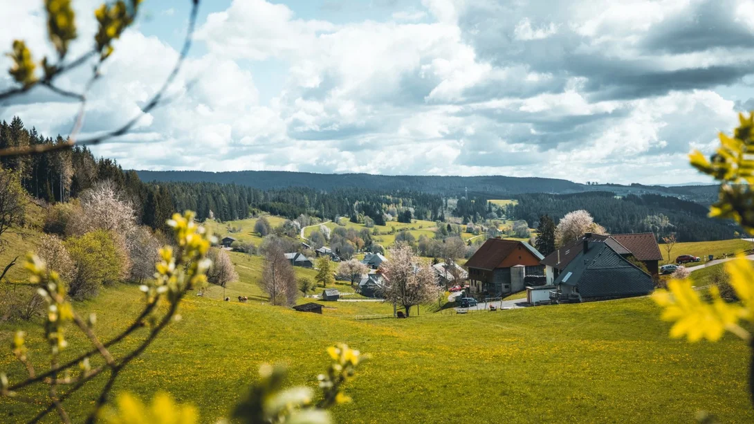 Paysage printanier avec arbres en fleurs, prairies vertes et maisons sous un ciel nuageux