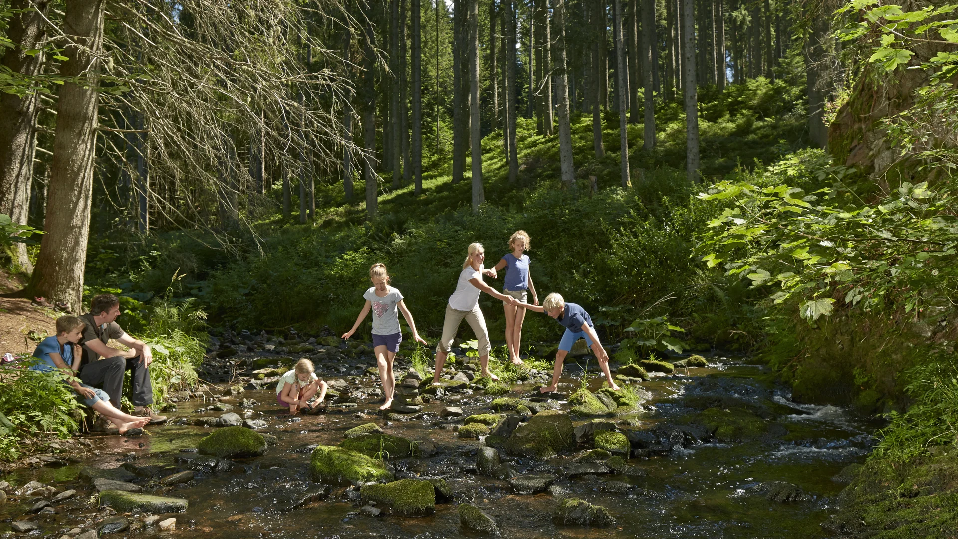 Familie wandert und spielt am Bach im grünen Wald