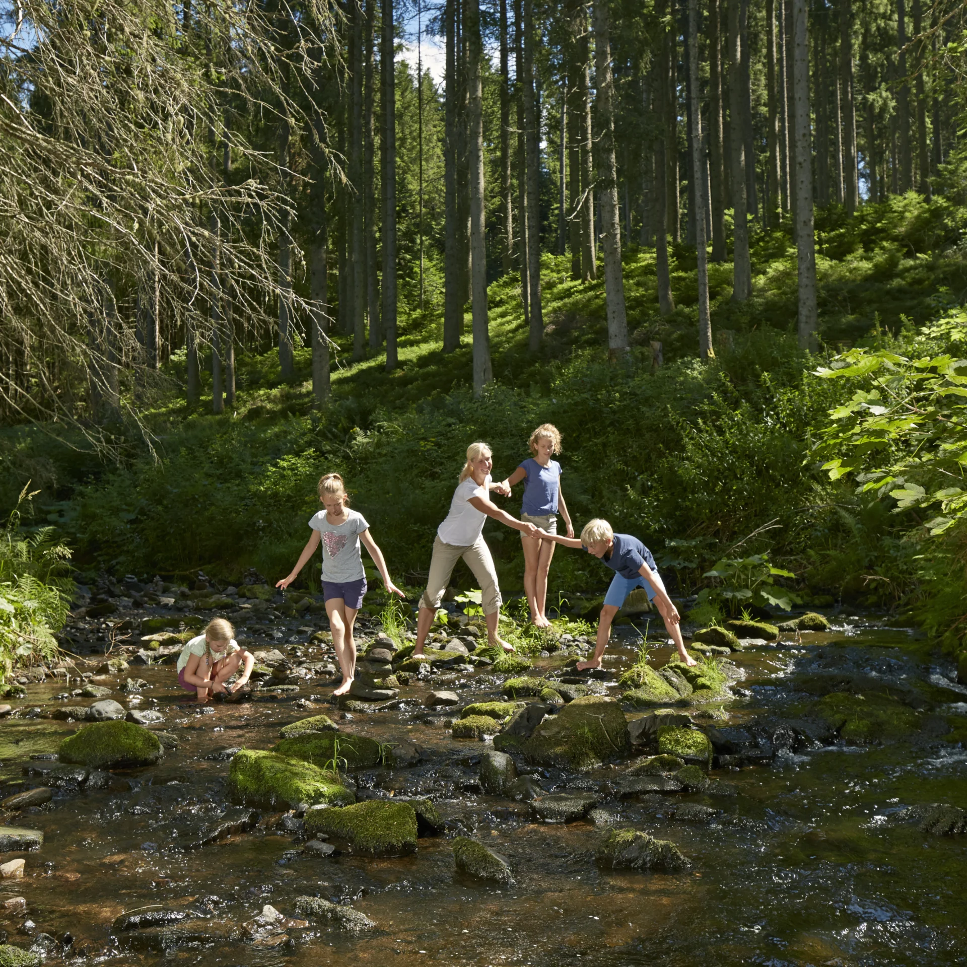 Familie wandert und spielt am Bach im grünen Wald