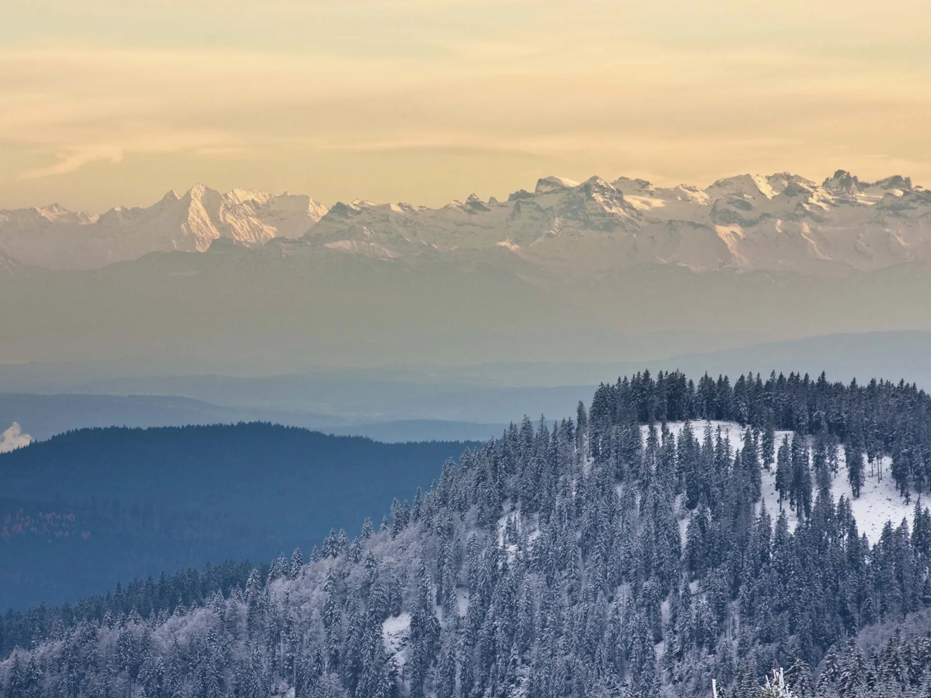 Snow-covered mountain forests beneath a range of peaks in warm evening light