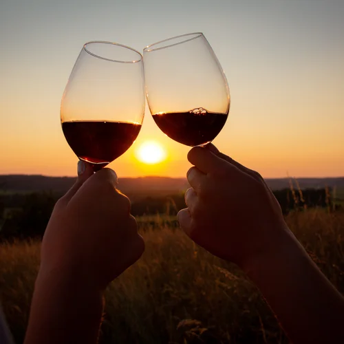 Séjour à Hinterzarten | L’art de vivre au ralenti à l’hôtel Reppert Deux personnes trinquent avec des verres de vin au coucher du soleil
