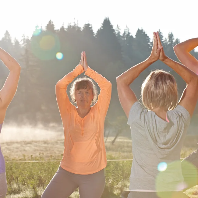 Gruppe praktiziert Yoga draußen im Morgengrauen vor Waldkulisse