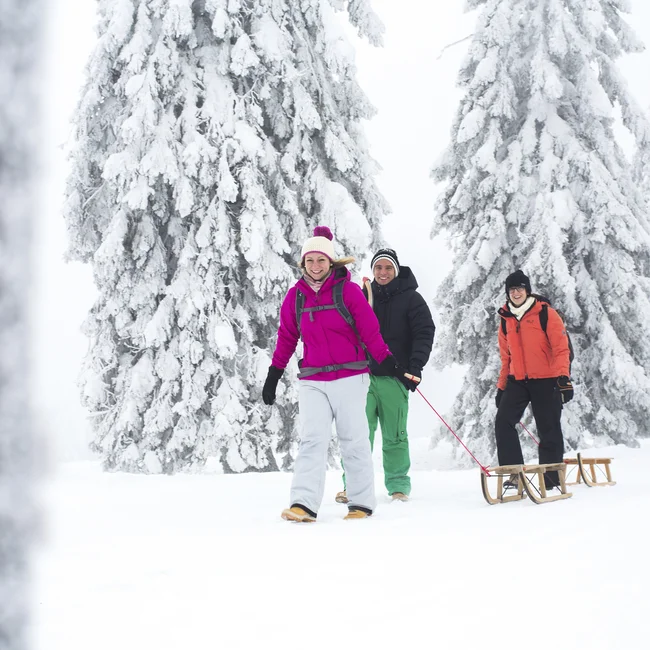 Vacances d’hiver à Hinterzarten | L’art de vivre au ralenti à l’hôtel Reppert Trois personnes marchent avec des luges dans une forêt enneigée