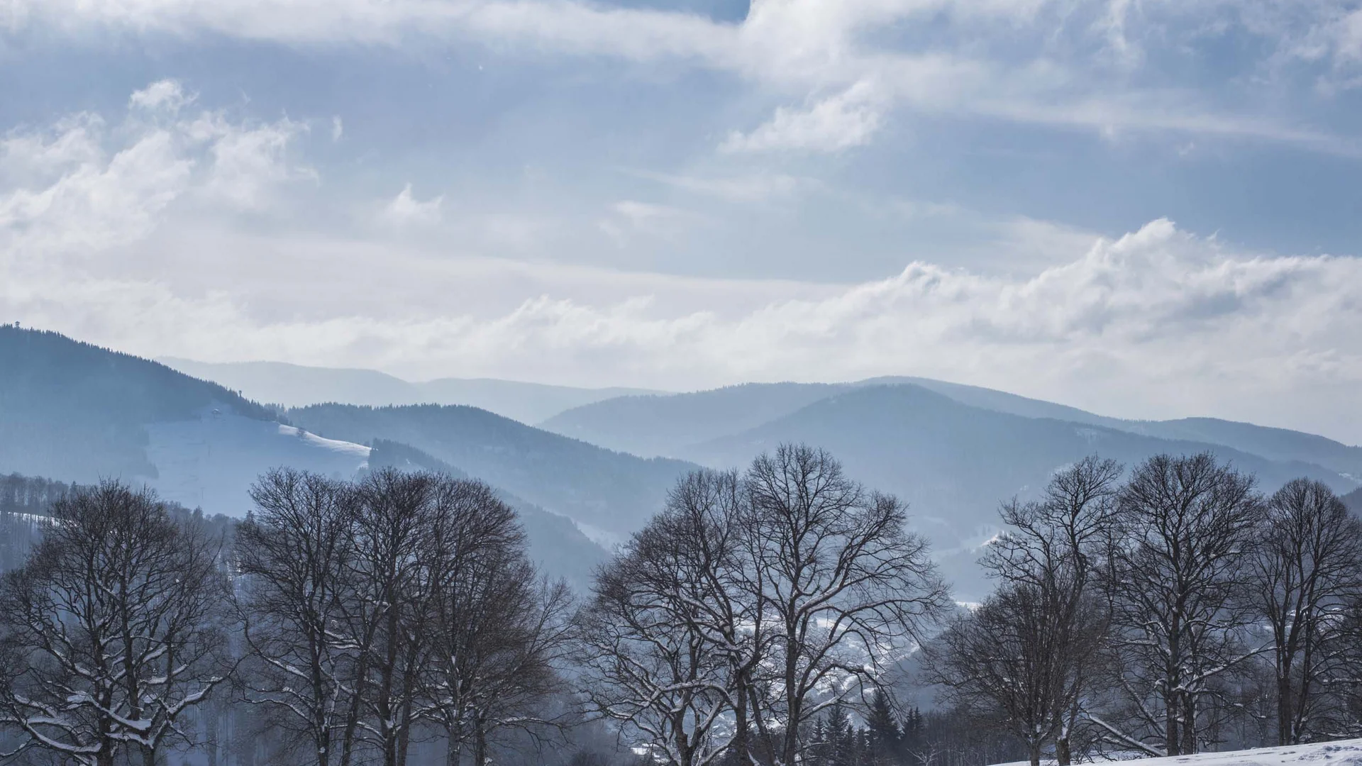 One Body, One Soul | Slow Living Hotel Reppert in Hinterzarten Snow-covered bare trees in front of misty mountains beneath a cloudy sky