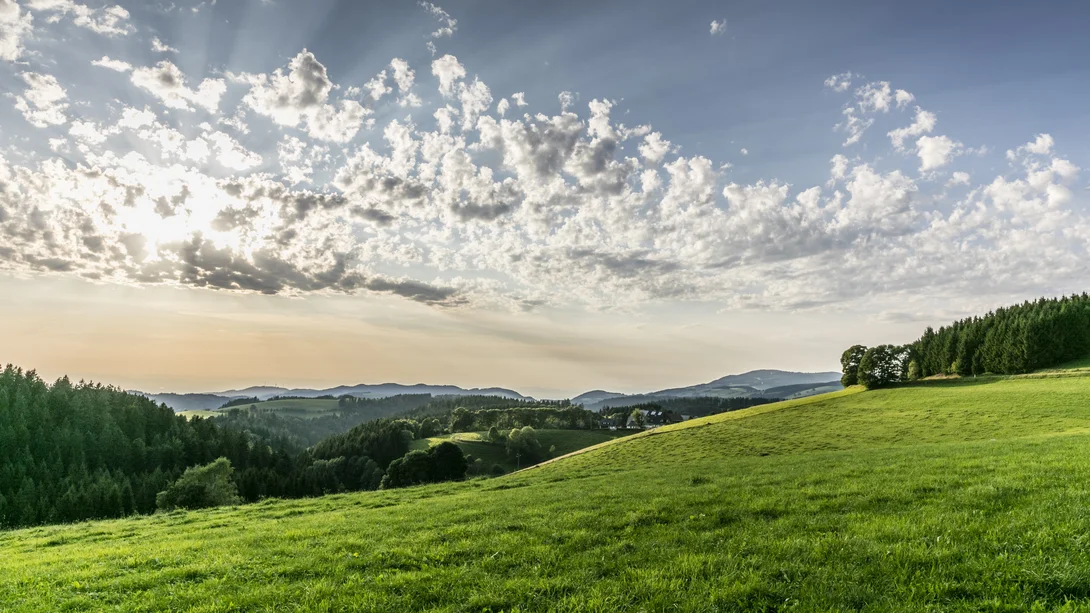 Paysage vallonné avec prairies vertes, forêt et ciel nuageux au coucher du soleil