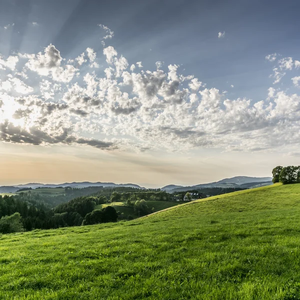 Hügellandschaft mit grünen Wiesen, Wald und bewölktem Himmel bei Sonnenuntergang