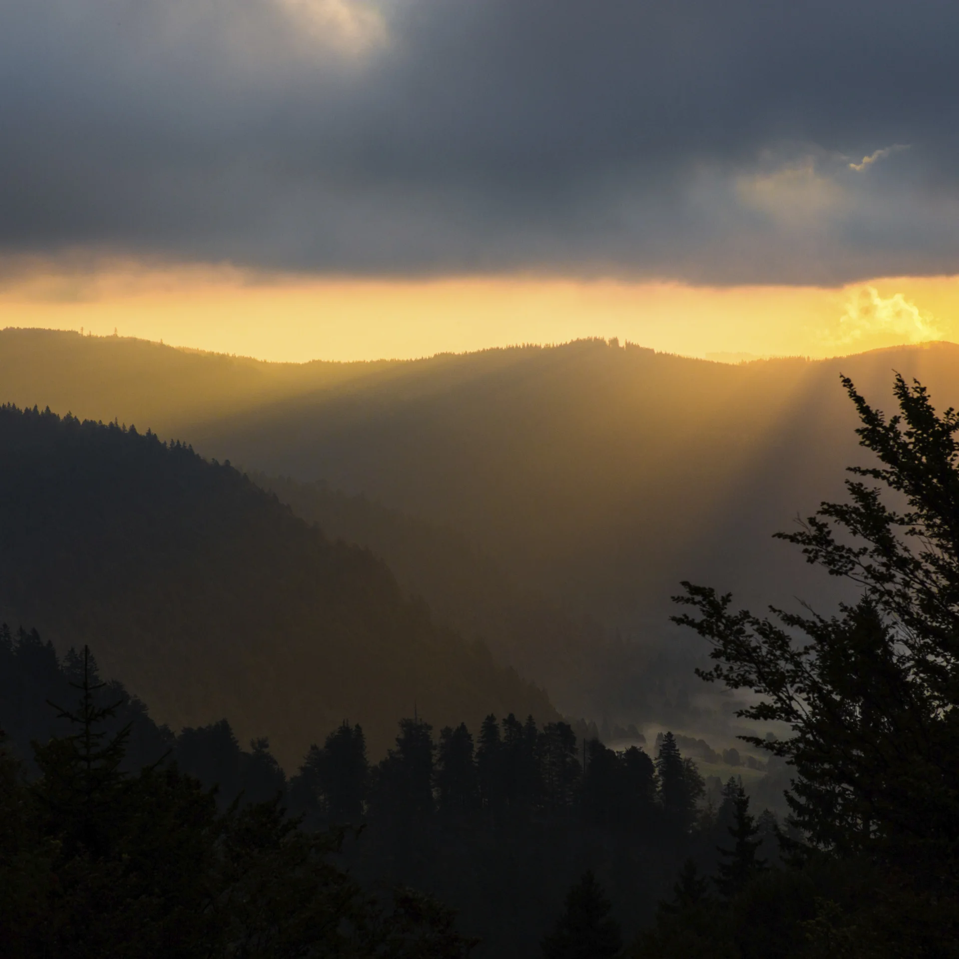 (E-)Bike-Hotel im Schwarzwald | Das Reppert in Hinterzarten Sonnenuntergang über Bergsilhouetten mit dunklen Wolken und Bäumen im Vordergrund