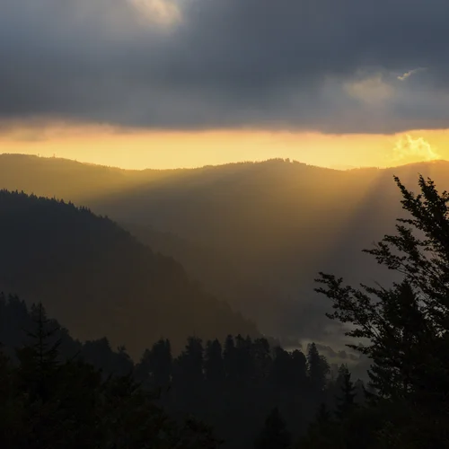 (E-)bike hotel in the Black Forest | Reppert in Hinterzarten Sunset over mountain silhouettes with dark clouds and trees in the foreground