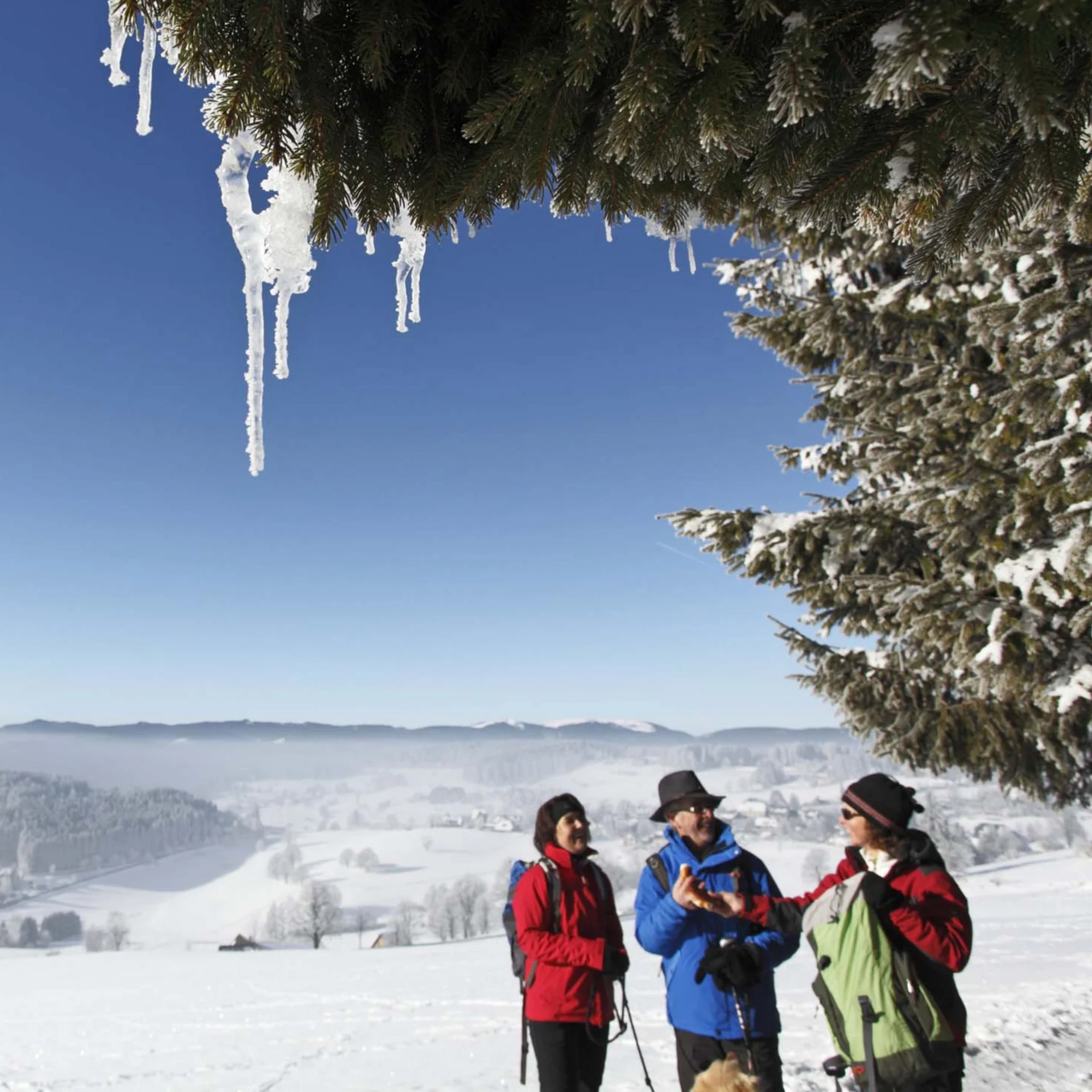 Drei Wanderer stehen unter einer verschneiten Tanne vor einer winterlichen Berglandschaft