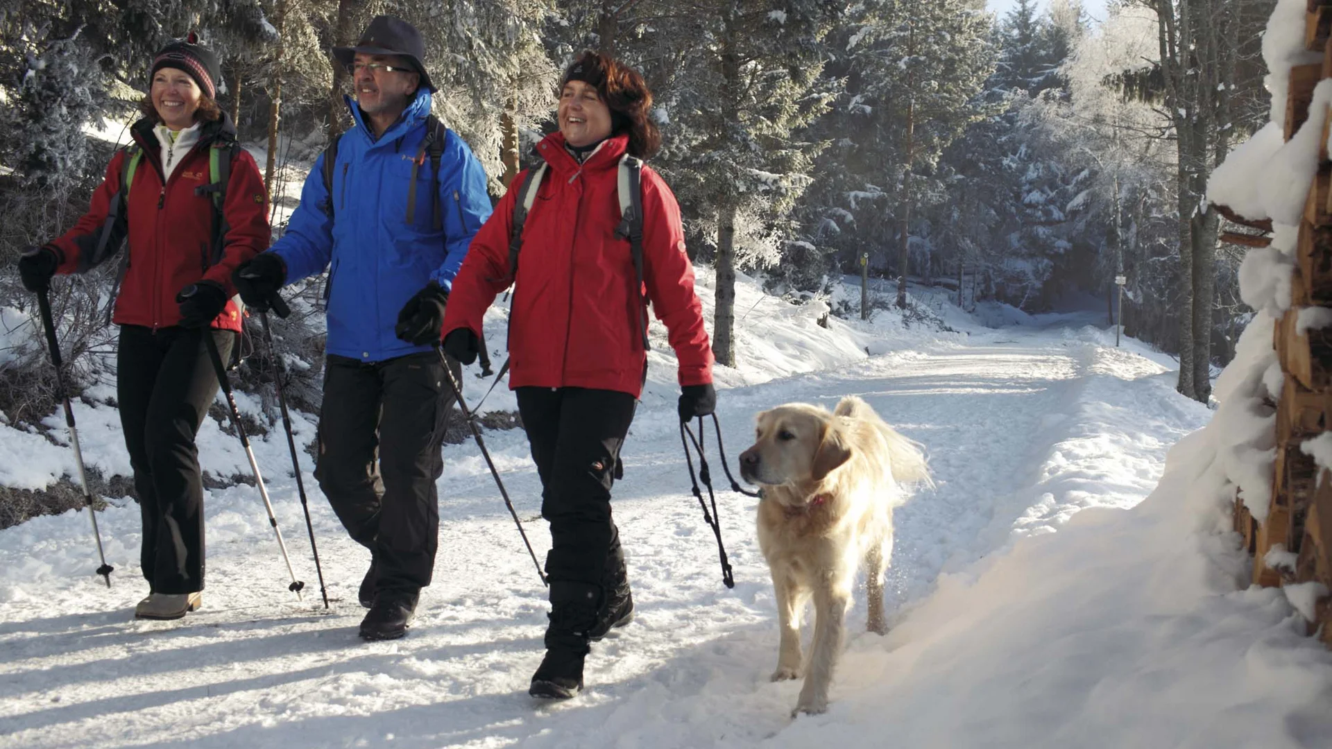 Drei Wanderer mit Stöcken und ein Hund auf einem verschneiten Waldweg