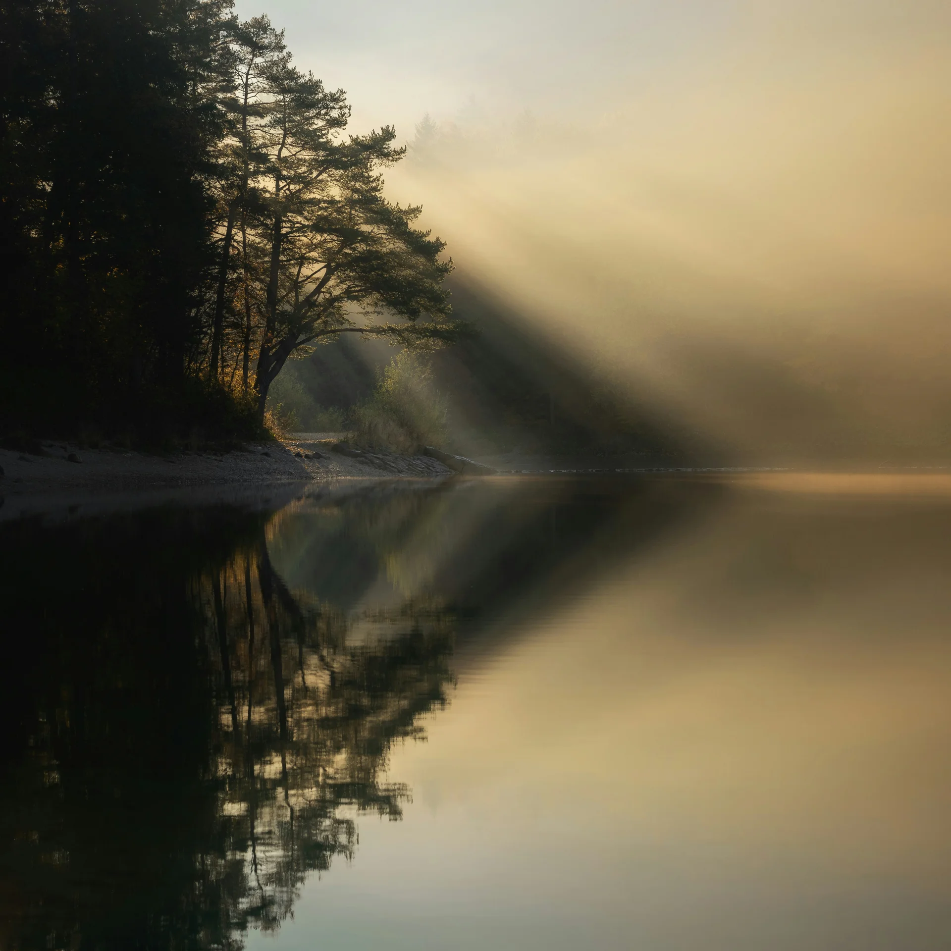 Sonnenstrahlen durch Nebel im Wald an einem ruhigen See