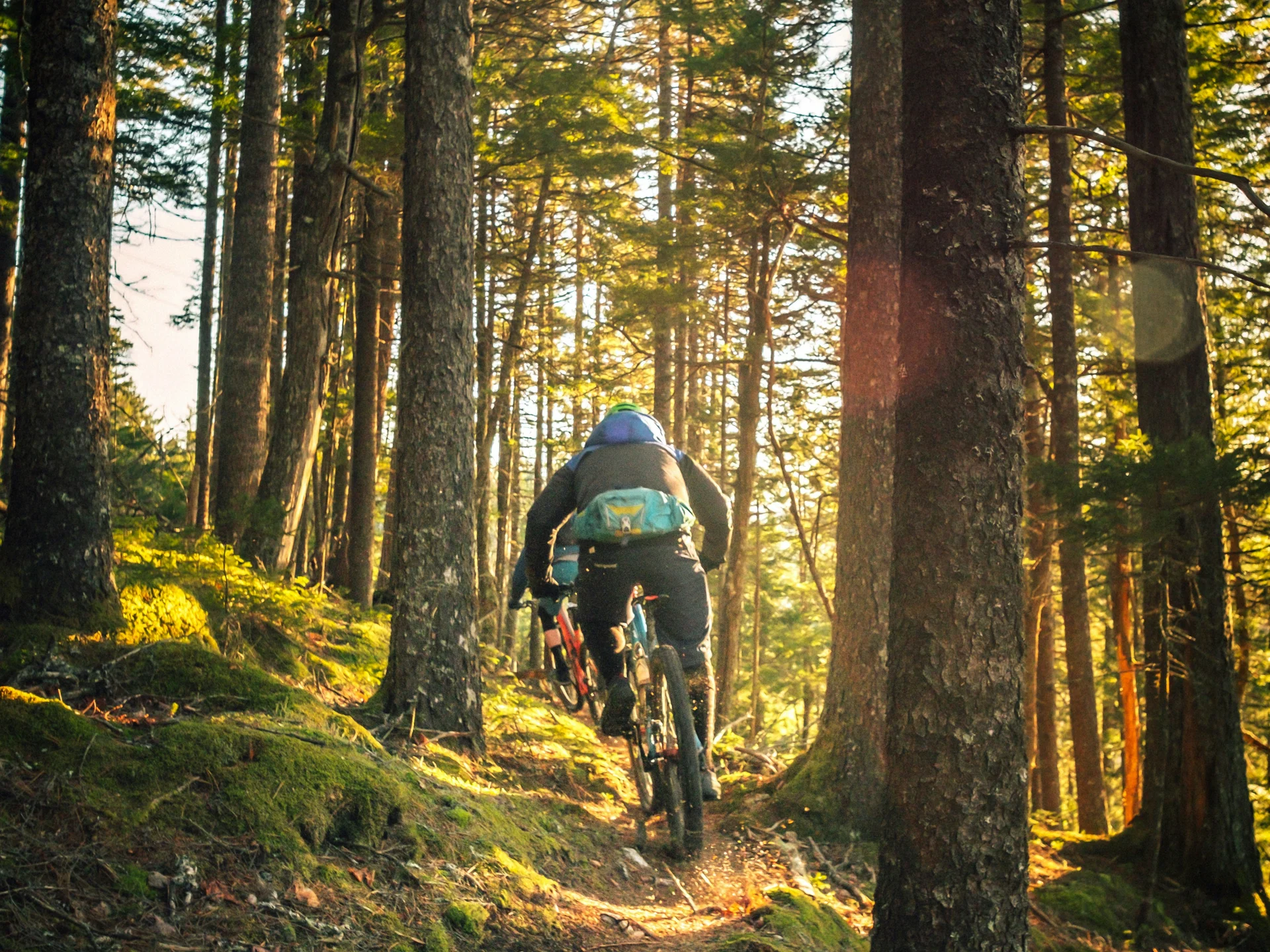 (E-)Bike-Hotel im Schwarzwald | Das Reppert in Hinterzarten Fahrradfahrer im Sonnenlicht auf schmalem Waldweg zwischen hohen Bäumen