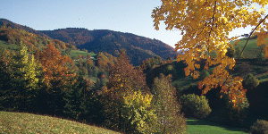 Runde von Titisee nach Hinterzarten