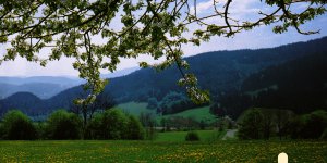 Fahrenberger Höhe mit Highlight