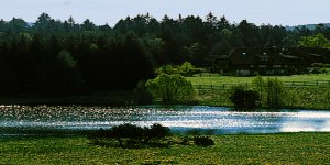 Runde um den tiefblauen Titisee