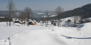 Gipfel Trail am Feldberg