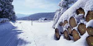Fernskiwanderweg, Etappe Feldberg