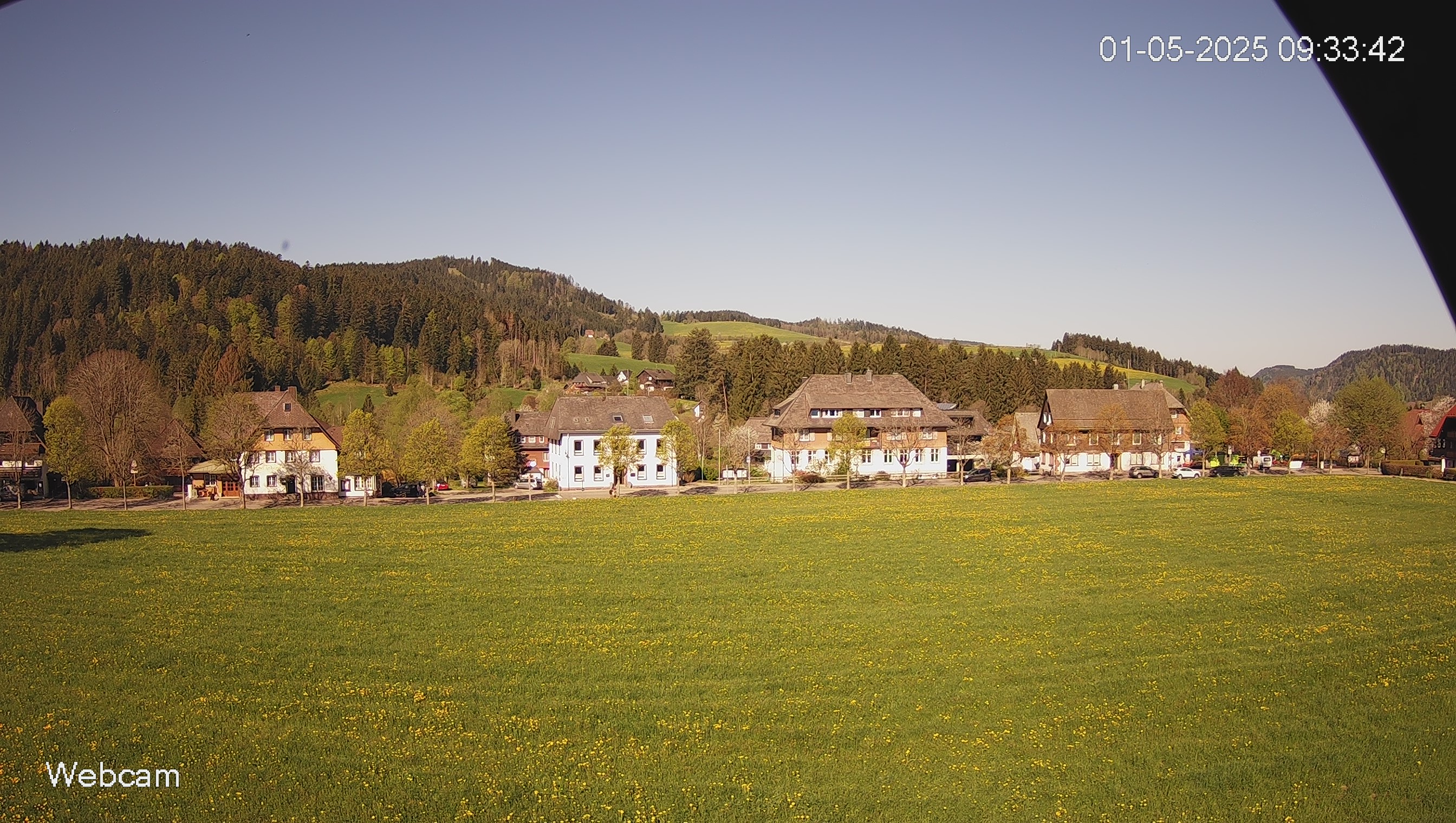 Webcam Hotel Reppert Hinterzarten